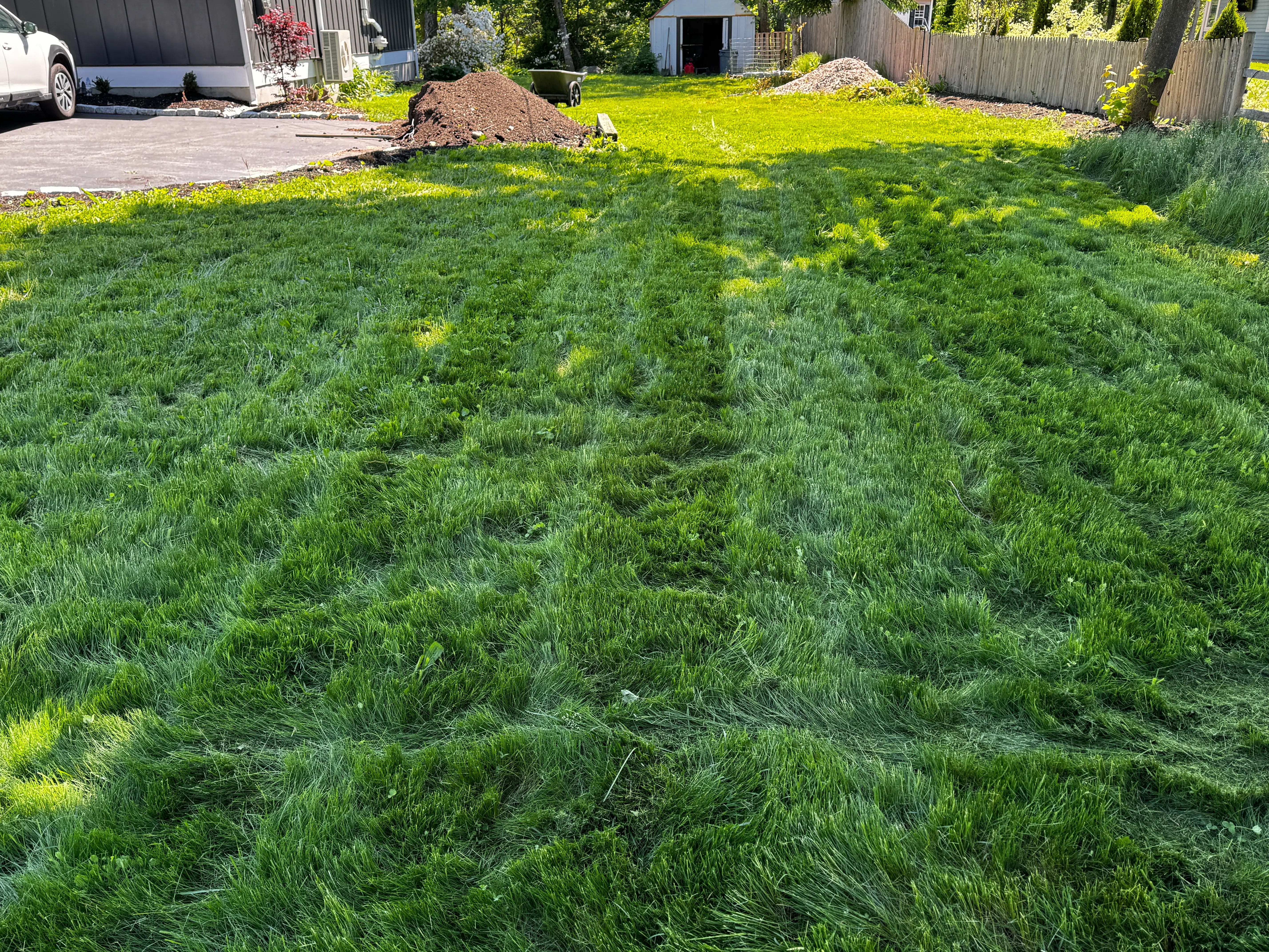 Fall Lawn Care That Actually Works: Why Your Soil, Not Your Fertilizer, Decides Next Spring's Green-Up