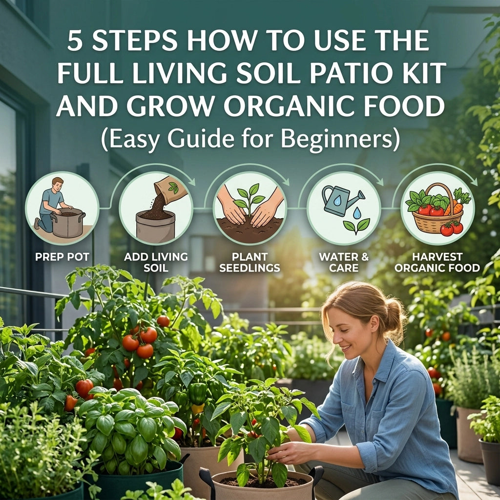 5 Steps How to Use the Full Living Soil Patio Kit and Grow Organic Food (Easy Guide for Beginners)