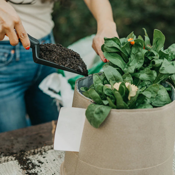 Full Living Soil Patio Kit – 5 Gallon Rhizo Logic® + Cloth Pot + Seeds + Consult
