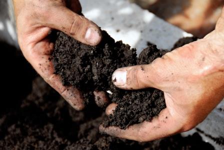 Rhizo Logic® Living Soil – 5 Gallon Bag